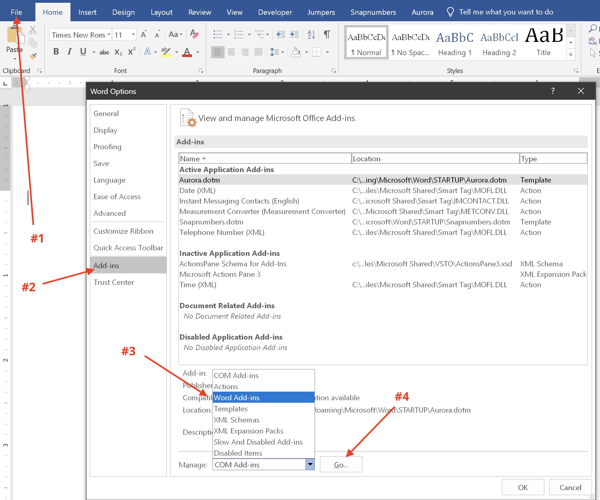Word Options Add in Screen